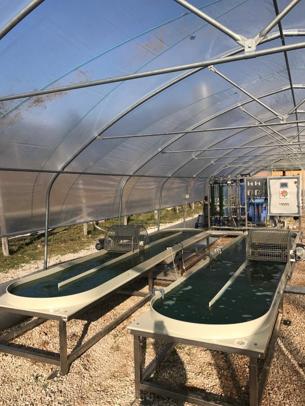 impianto pilota alga spirulina 3 EGEC European Geothermal Energy Council